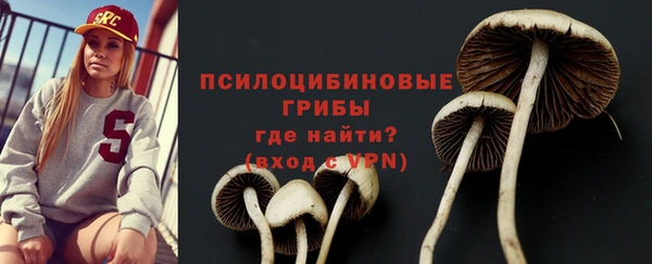 герыч Новокубанск
