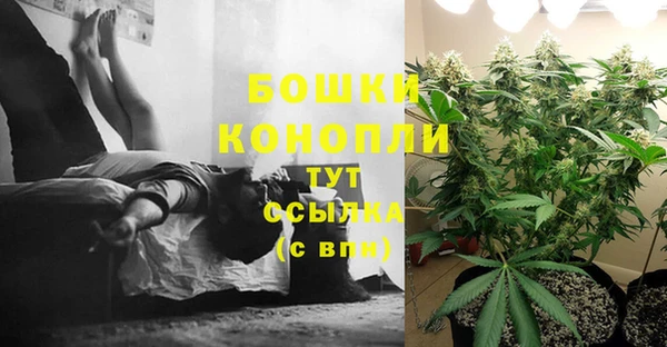 амф Нягань