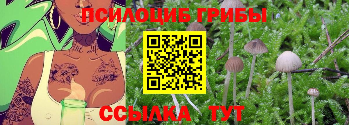 Псилоцибиновые грибы Magic Shrooms Кореновск